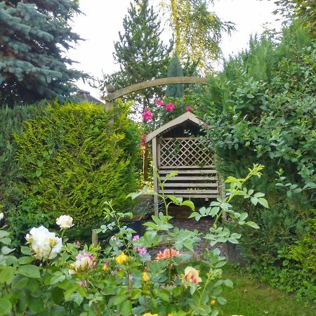 Bed and Breakfast Mountain Ash Хорнкасл Экстерьер фото
